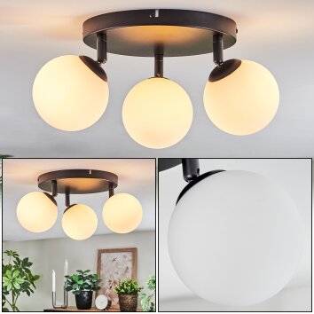 Chehalis Plafoniera, Lampada a sfera Bianco, 3-Luci