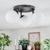 Chehalis Plafoniera, Lampada a sfera Bianco, 3-Luci