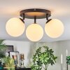 Chehalis Plafoniera, Lampada a sfera Bianco, 3-Luci