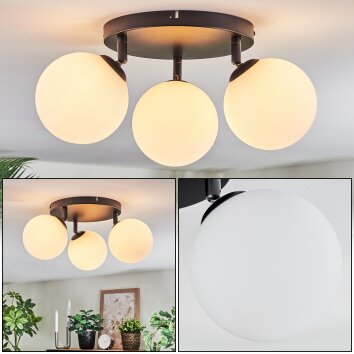 Chehalis Plafoniera, Lampada a sfera Bianco, 3-Luci