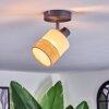 Fallhagen Plafoniera, Faretto da soffitto Nero, 1-Luce