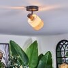Fallhagen Plafoniera, Faretto da soffitto Nero, 1-Luce