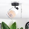 Fallhagen Plafoniera, Faretto da soffitto Nero, 1-Luce