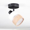 Fallhagen Plafoniera, Faretto da soffitto Nero, 1-Luce