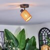 Kinnared Plafoniera, Faretto da soffitto Nero, 1-Luce