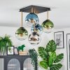 Gastor Plafoniera, Lampada a sfera Oro, Nero, 5-Luci