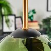 Gastor Plafoniera, Lampada a sfera Oro, Nero, 5-Luci