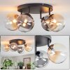 Chehalis Plafoniera, Lampada a sfera Ambrato, Chiaro, Grigio fumo, 4-Luci