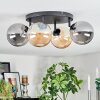 Chehalis Plafoniera, Lampada a sfera Ambrato, Grigio fumo, 4-Luci