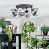 Chehalis Plafoniera, Lampada a sfera Chiaro, Grigio fumo, 4-Luci Chehalis Plafoniera, Lampada a sfera Chiaro, Grigio fumo, 4-Luci