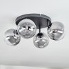 Chehalis Plafoniera, Lampada a sfera Chiaro, Grigio fumo, 4-Luci Chehalis Plafoniera, Lampada a sfera Chiaro, Grigio fumo, 4-Luci