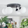 Chehalis Plafoniera, Lampada a sfera Bianco, 4-Luci
