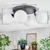 Chehalis Plafoniera, Lampada a sfera Bianco, 4-Luci