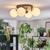 Chehalis Plafoniera, Lampada a sfera Bianco, 4-Luci