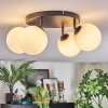 Chehalis Plafoniera, Lampada a sfera Bianco, 4-Luci
