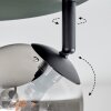 Chehalis Plafoniera, Lampada a sfera Ambrato, Grigio fumo, 4-Luci