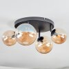 Chehalis Plafoniera, Lampada a sfera Ambrato, 4-Luci