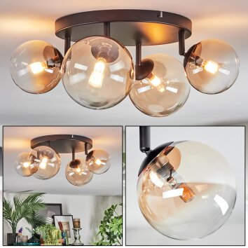 Chehalis Plafoniera, Lampada a sfera Ambrato, Chiaro, 4-Luci