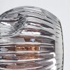 Ripoll Plafoniera, Lampada a sfera Grigio fumo, 6-Luci