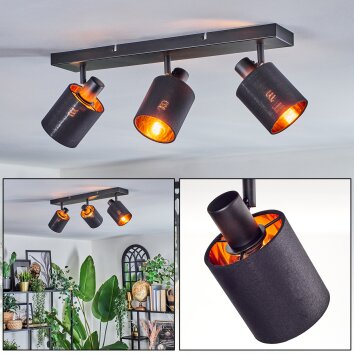 Fallhagen Plafoniera, Faretto da soffitto Nero, 3-Luci