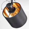 Alsen Plafoniera, Faretto da soffitto Nero, 3-Luci