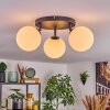 Gastor Plafoniera, Lampada a sfera Bianco, 3-Luci