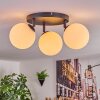 Gastor Plafoniera, Lampada a sfera Bianco, 3-Luci