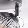 Koyoto Plafoniera, Lampada a sfera Chiaro, Grigio fumo, 3-Luci
