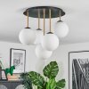 Gastor Plafoniera, Lampada a sfera Ottone, Nero, 5-Luci
