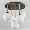 Gastor Plafoniera, Lampada a sfera Ottone, Nero, 5-Luci