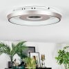 Dakon Plafoniera LED Champagne, Bianco, 1-Luce