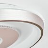 Dakon Plafoniera LED Champagne, Bianco, 1-Luce