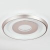 Dakon Plafoniera LED Champagne, Bianco, 1-Luce
