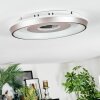 Dakon Plafoniera LED Champagne, Bianco, 1-Luce