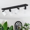 Fallhagen Plafoniera, Faretto da soffitto Nero, 4-Luci
