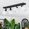 Fallhagen Plafoniera, Faretto da soffitto Nero, 4-Luci