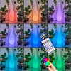 Dalon Lampada da terra per esterno, Lampada da terra LED Bianco, 1-Luce, Telecomando