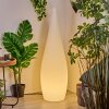 Dalon Lampada da terra per esterno, Lampada da terra LED Bianco, 1-Luce, Telecomando