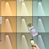 Dalon Lampada da terra per esterno, Lampada da terra LED Bianco, 1-Luce, Telecomando