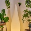 Dalon Lampada da terra per esterno, Lampada da terra LED Bianco, 1-Luce, Telecomando