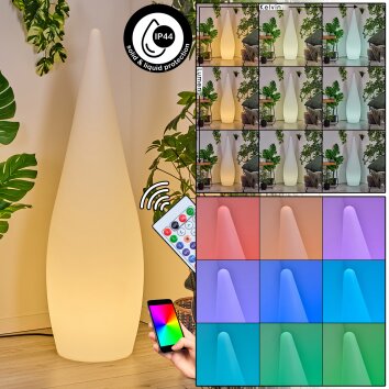 Dalon Lampada da terra per esterno, Lampada da terra LED Bianco, 1-Luce, Telecomando