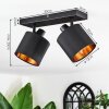 Alsen Plafoniera, Faretto da soffitto Nero, 2-Luci