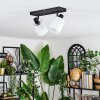 Fallhagen Plafoniera, Faretto da soffitto Nero, 2-Luci Fallhagen Plafoniera, Faretto da soffitto Nero, 2-Luci