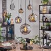 Ripoll Lampadario a sospensione, Lampada a sfera, Lampada a sospensione Grigio fumo, 5-Luci