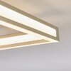 Danor Plafoniera LED Nichel opaco, 1-Luce