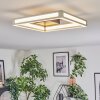 Danor Plafoniera LED Nichel opaco, 1-Luce