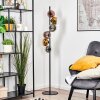 Koyoto Lampada a sfera, Lampada da terra Cromo, Oro, Chiaro, Ramato, Grigio fumo, 6-Luci