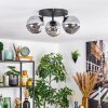 Ripoll Plafoniera, Lampada a sfera Grigio fumo, 3-Luci Ripoll Plafoniera, Lampada a sfera Grigio fumo, 3-Luci
