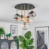 Gastor Plafoniera, Lampada a sfera Ottone, Nero, 5-Luci