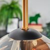 Gastor Plafoniera, Lampada a sfera Ottone, Nero, 5-Luci